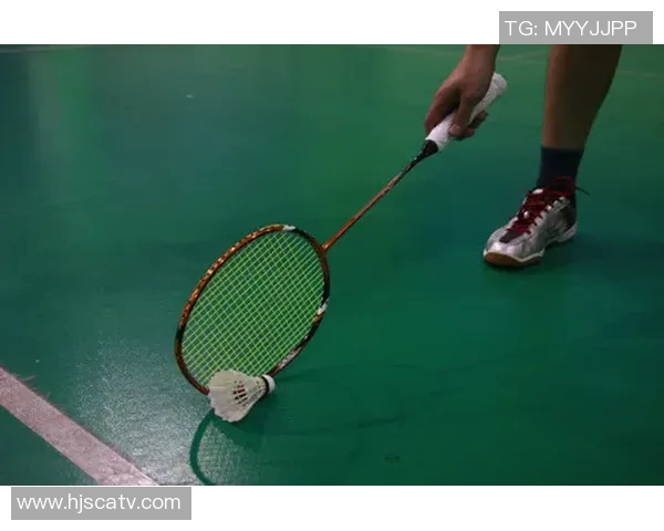 羽毛球赛事精彩回放及技术点评 羽毛球赛事精彩回放及技术点评